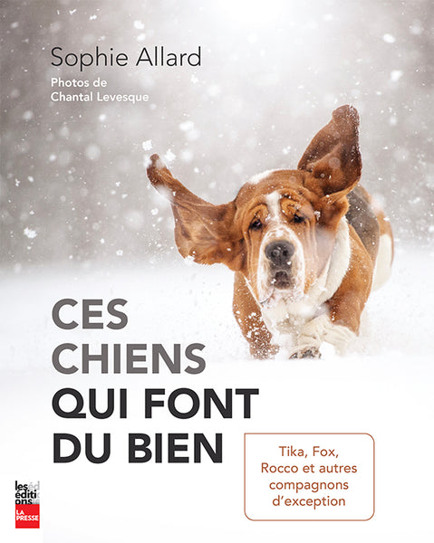 Ces chiens qui font du bien